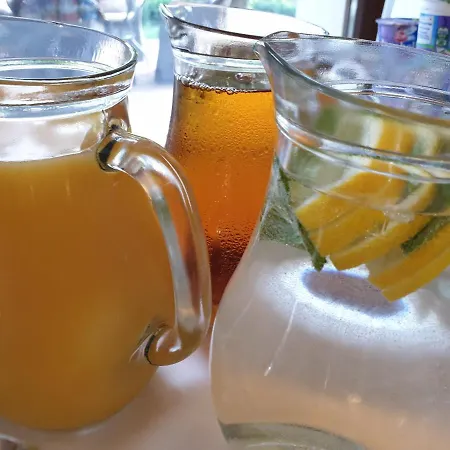 Ventus Natural & Medical מלון 4*