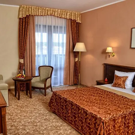 Ventus Natural & Medical Spa Hotel